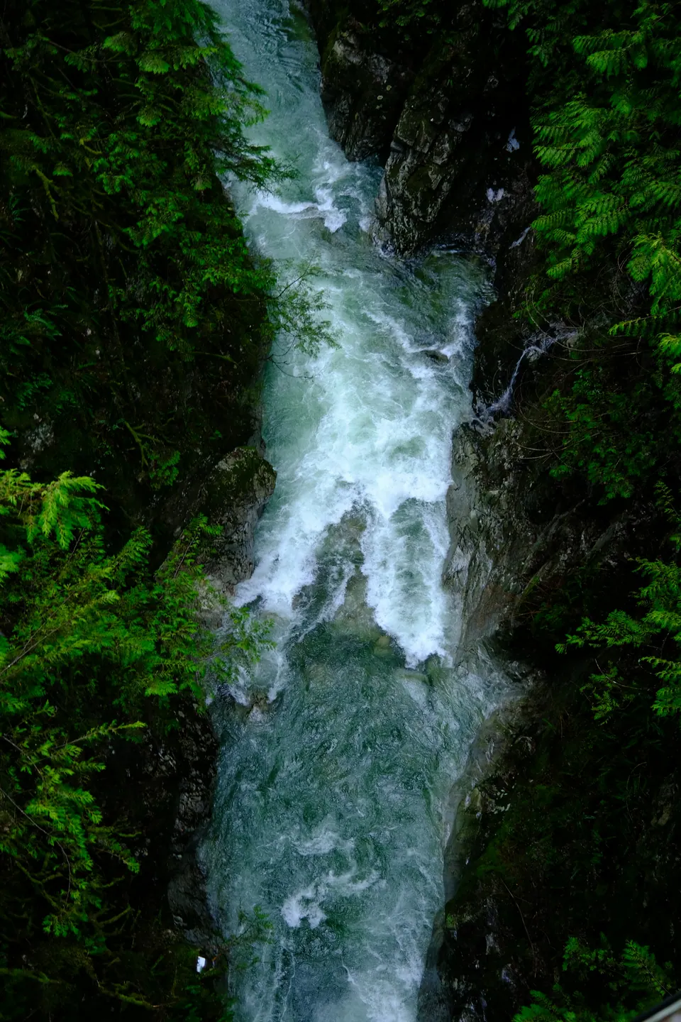 White water between green forest and canyon walls at Lynn Valley in British Columbia