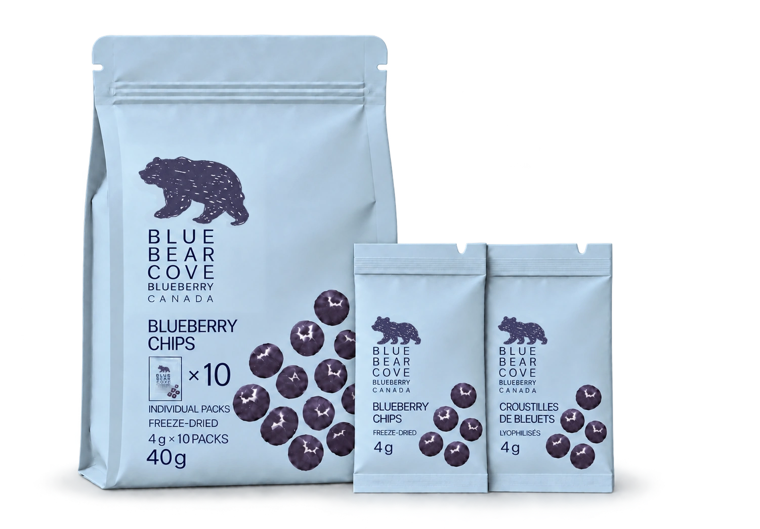 Blueberry Chips — 10 Packs product photograph